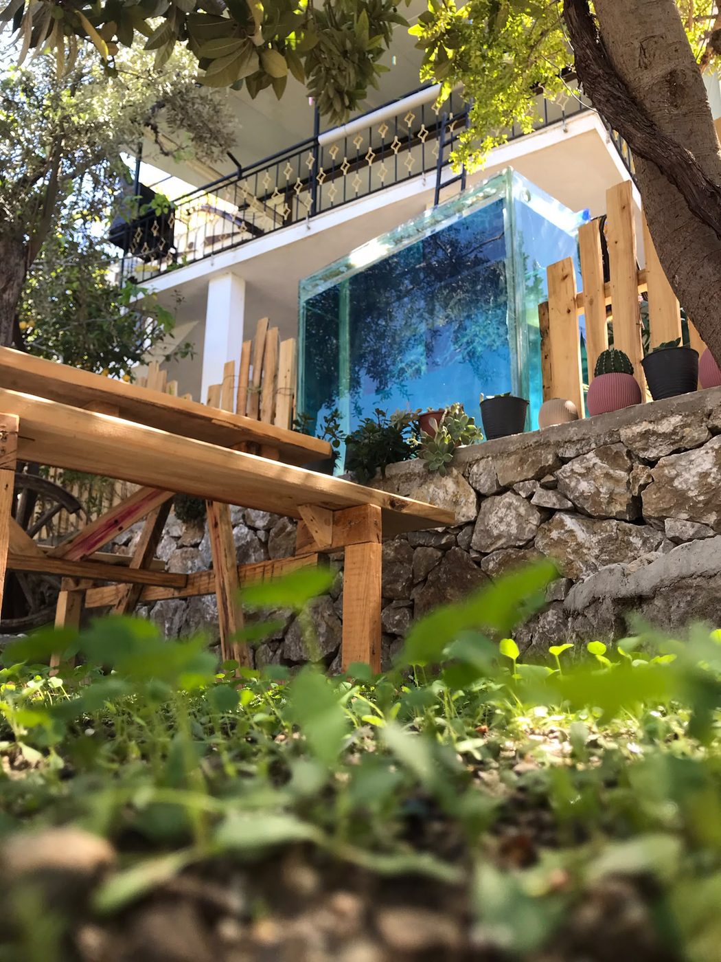 Akvaryum Park bahçesi ve akvaryumu